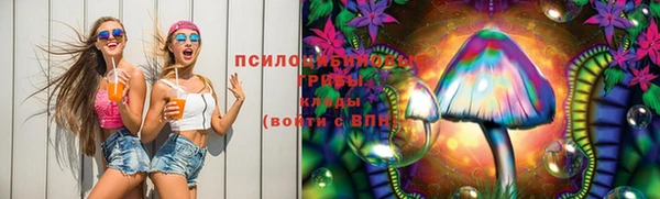 spice Алексин