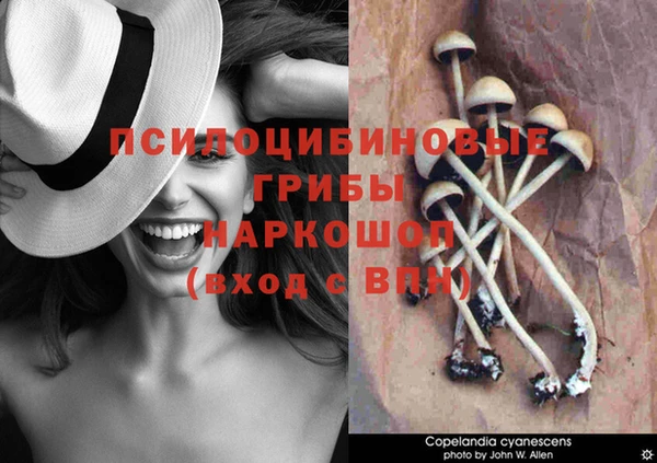 spice Алексин