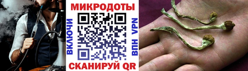 как найти закладки Ахтубинск Псилоцибиновые грибы Psilocybine cubensis